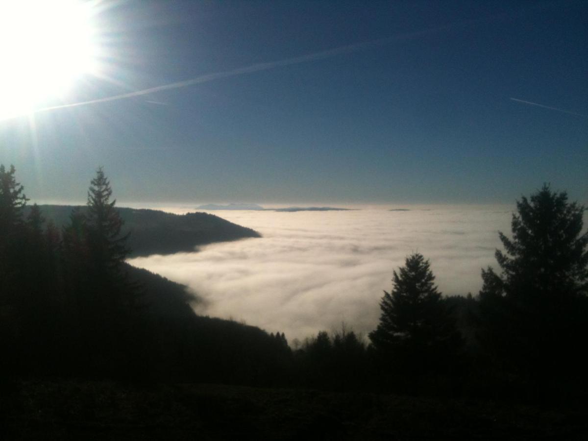 Les Gites De La Serva - Champ Du Feu - Montagnes- Vosges Бельмон Экстерьер фото